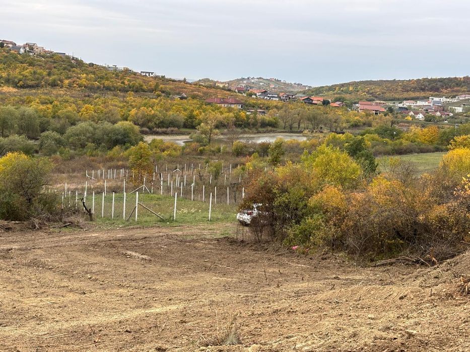 Parcele 665mp si 1000mp. Okazie  Saldabagiu de Munte