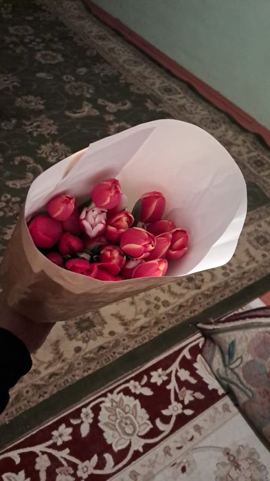 Тюльпан оптом акция