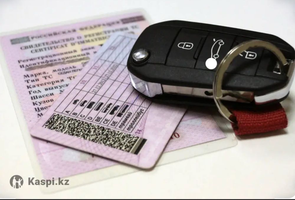 Автошкола, права, обучение в автошколе, вождение