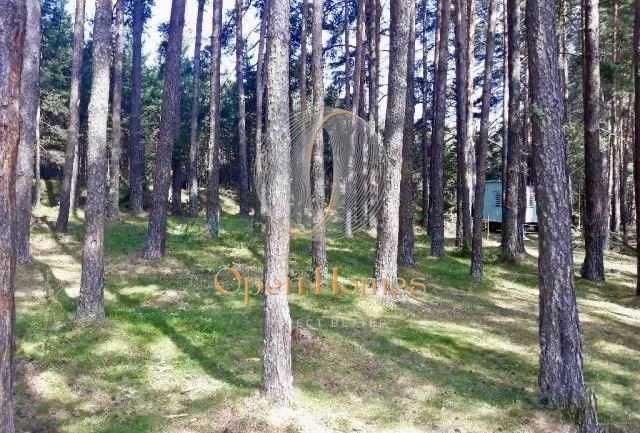 Продава се Земеделски имот в с. Добралък, Област Пловдив -  кв.м за 2270 €/дка - Снимка #2