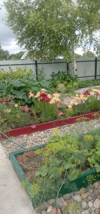 Продам дачу в поселке К.Кайсенова