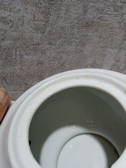 Чайник заварочный 1000 тг.