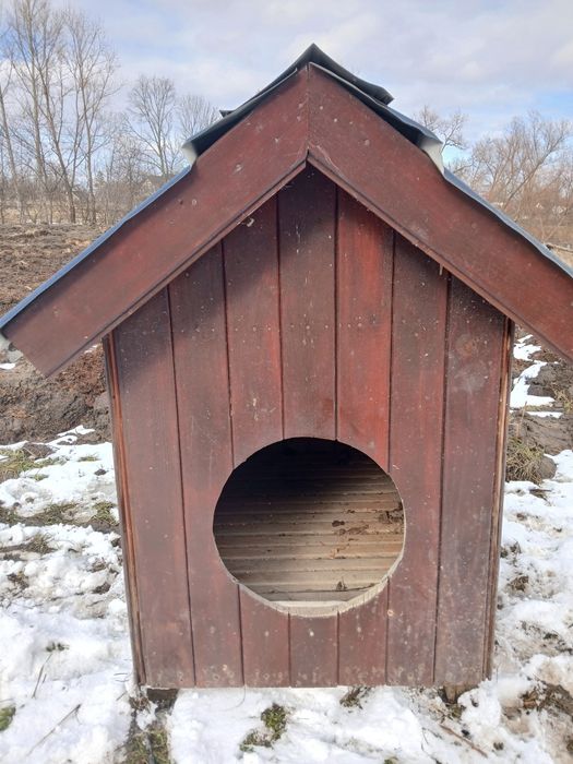 Casuta caine talie mare