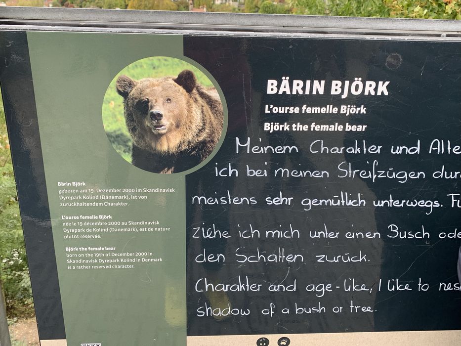 Оформящ ефектен Цял бански