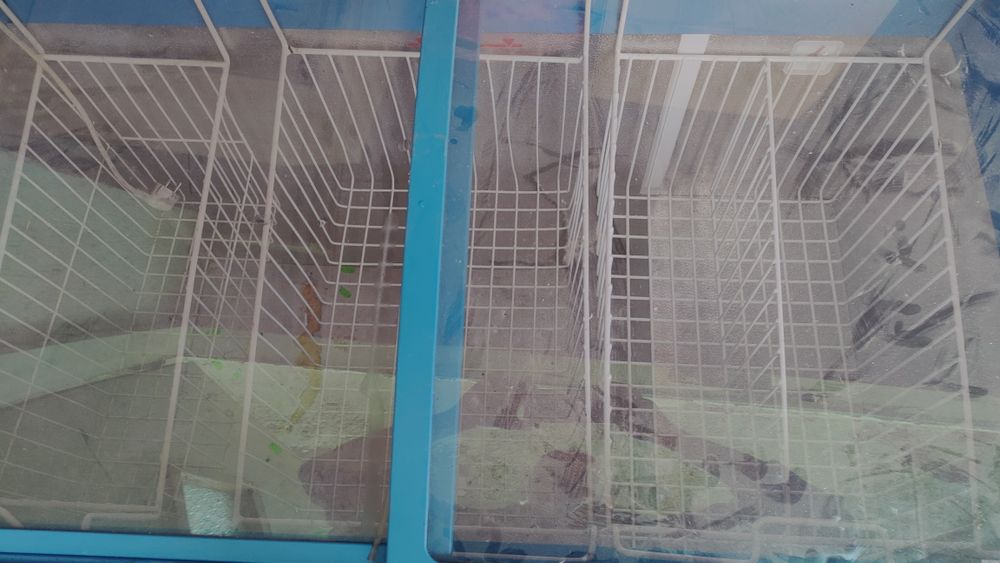 Продава се австрийски фризер Либхер GTI 3703