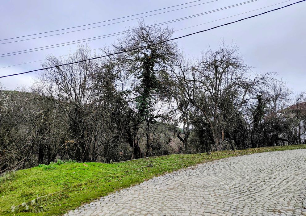 Продава се Парцел в София, Карпузица - 980 кв.м за 11 €/кв.м - Снимка #12