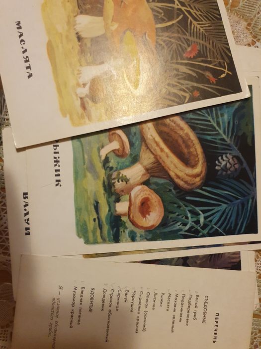 Продам старые открытки