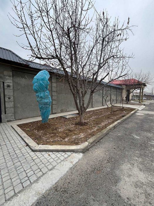 СРОЧНО !! Продается дом в Яшнабаде 6.0 соток 5 комнат Тузел 3