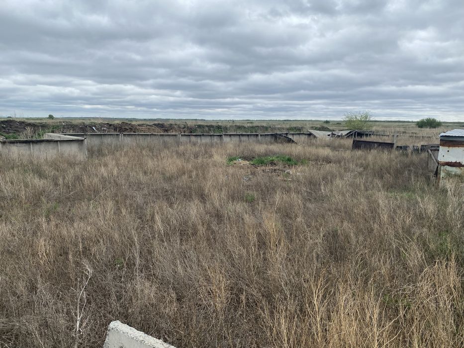 Дом в с Перцевка