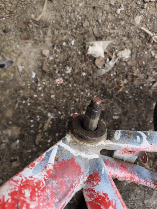 Велик покрашенный