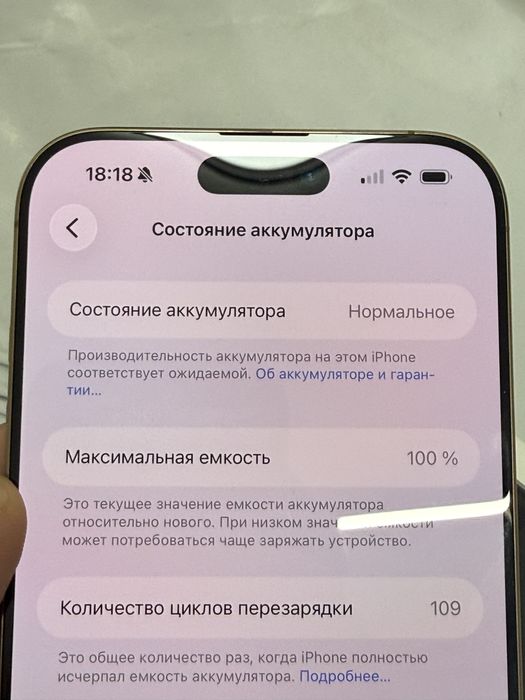 iPhone 16 Pro Max 256 Gb 100% батарея