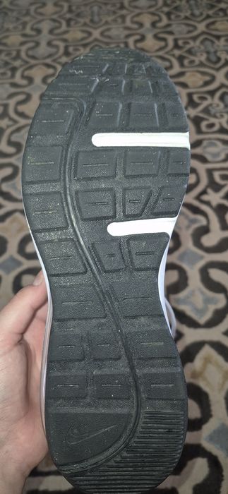 Adidași Nike Air Max Ap