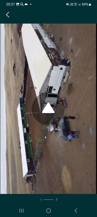 Пасу-выпас Кои баран Овец  багам.