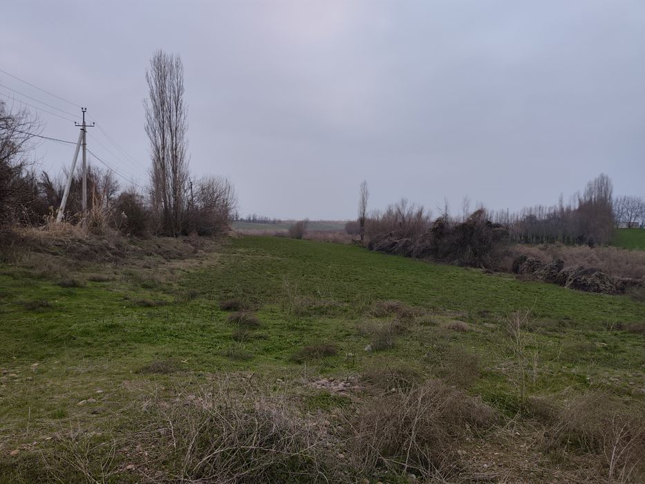 Тошкент вил, Бу́ка тумани, Бу́ка мфй, Худойкул кишлогида уй сотил