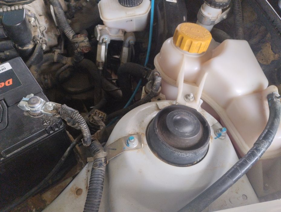 Нексия 2 гибрид простой