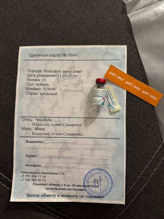 Продам Немецкого Шпица цверг