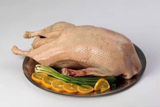 Продам домашних гусей