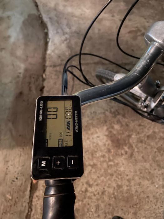 Bicicleta electrica cu remorca