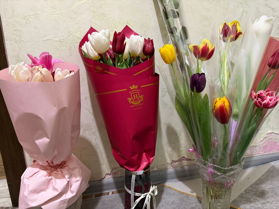 Свежие тюльпаны разные