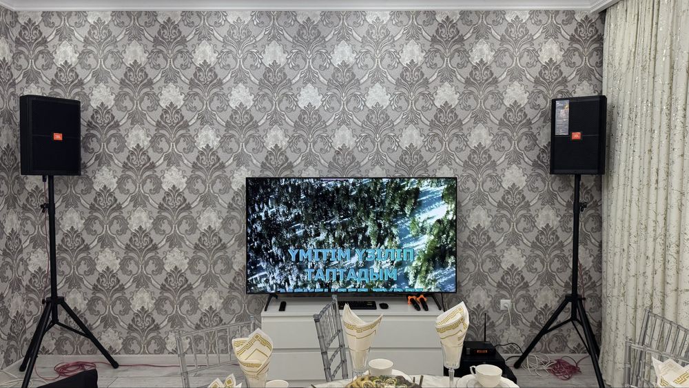 Аренда профессионалный караоке на выезд