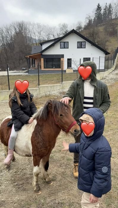 Vand ponei 3 ani jumate sau schimb pe vitei