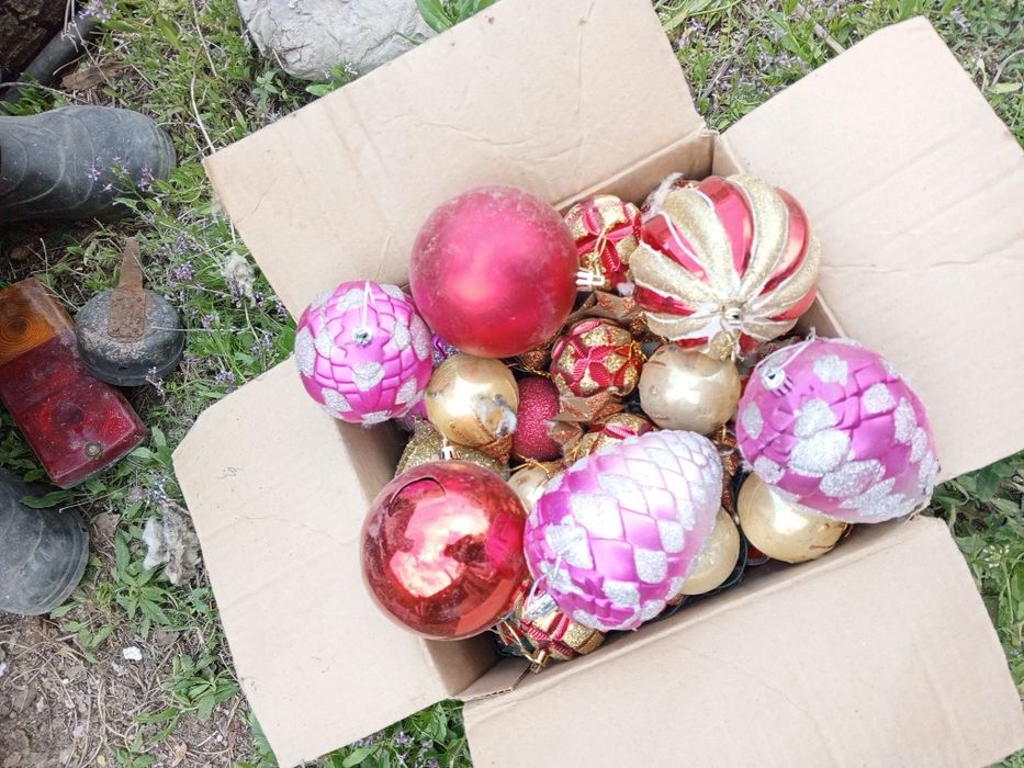 Отдам даром бесплатно