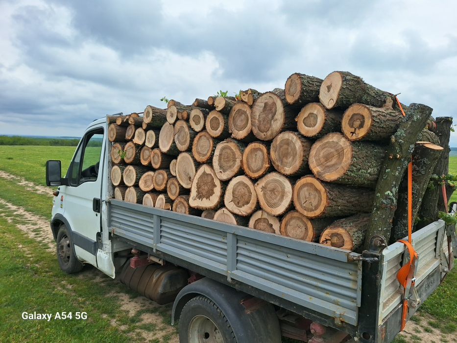 Lemne de foc la metru si taiate la dimensiune