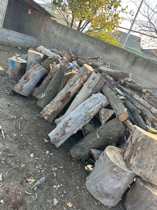 Отын сатылады