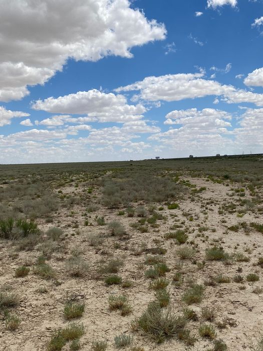 Жәйлім жер сатылады