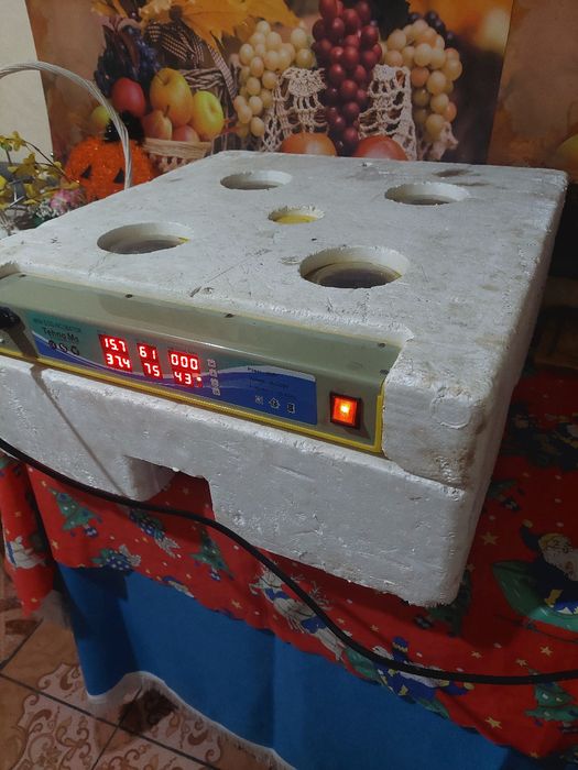 Incubator tehno ms 98