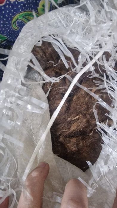 Отдам не обработанную овечью шерсть