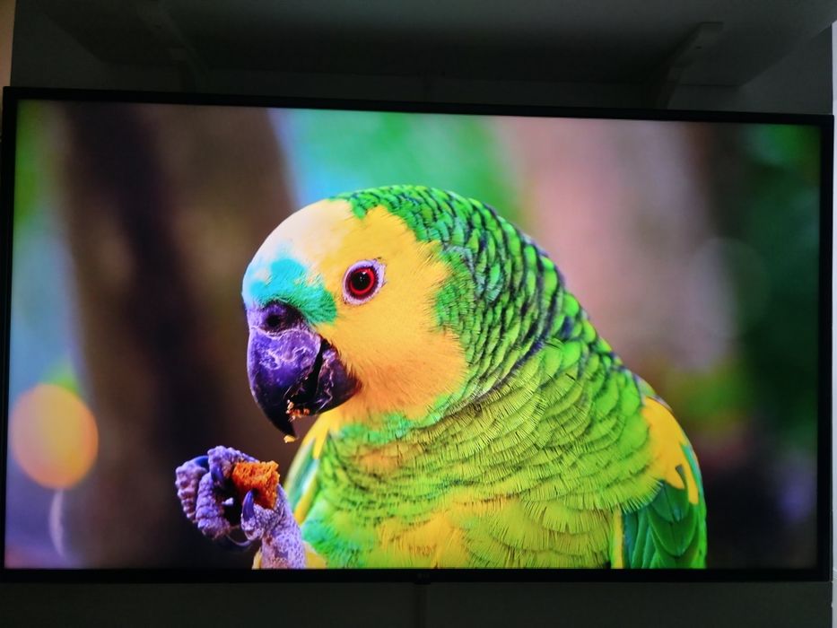 Televizor Smart LG 4k HDR de 152 cm