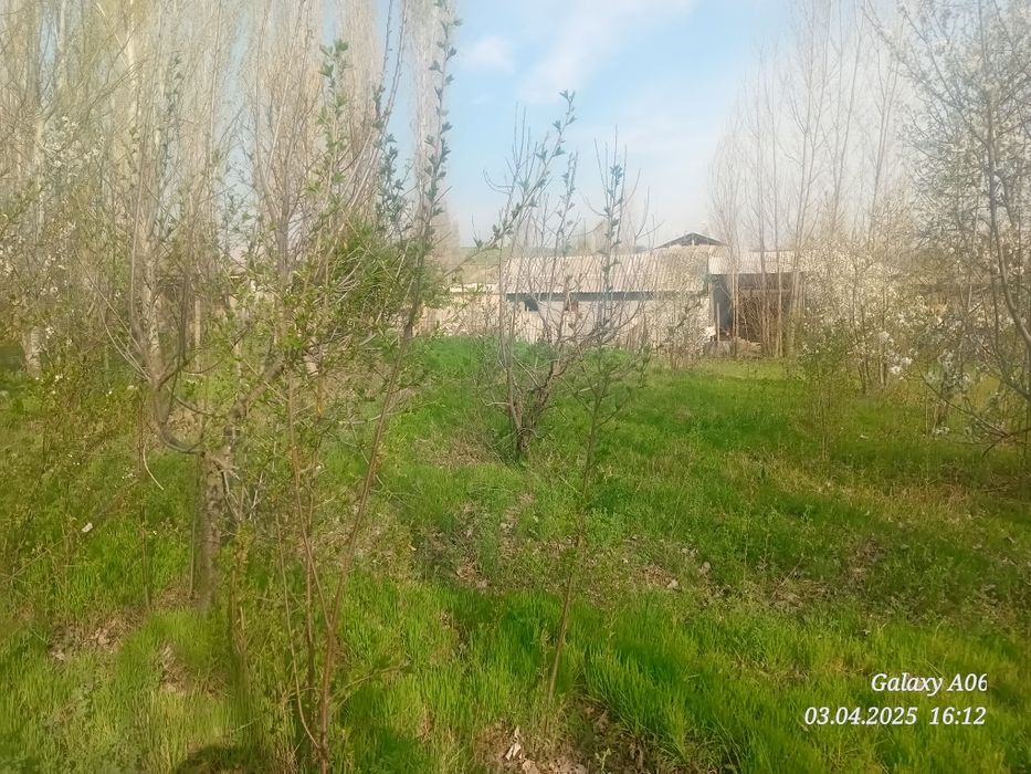 Ташкент вилояти Паркент туман Бустон кфй Ачиксой мой