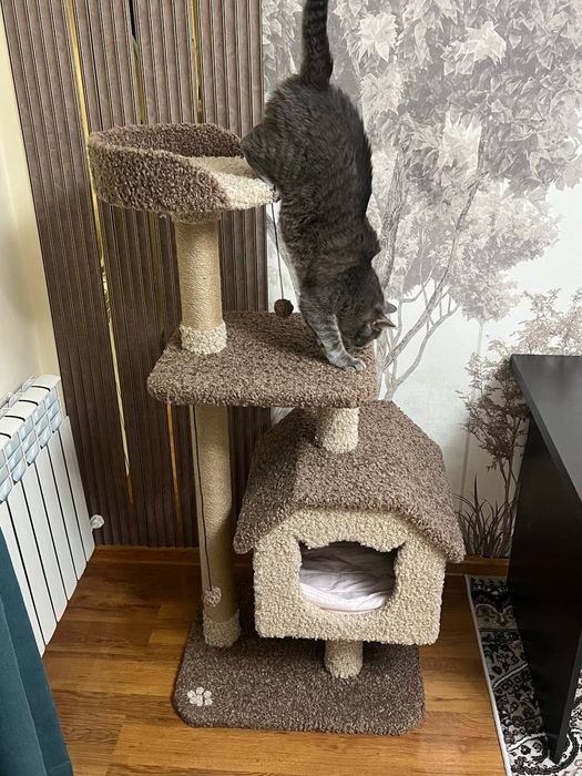 Домик для кошек. Игровой комплекс кошки. Зоодомики