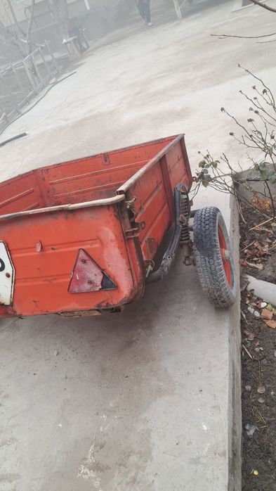 Moshina prsepi holati ortacha