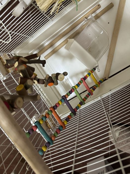 Рещетка для птиц