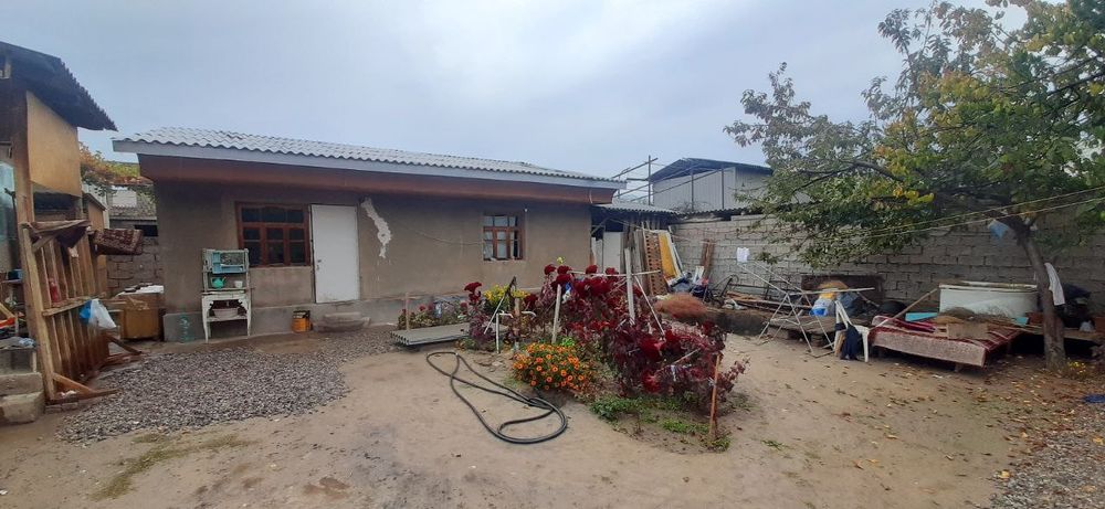 Bo'stonliqda holiday sotiladi