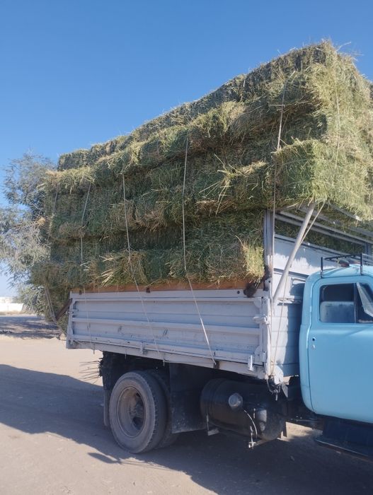 Газ 53 сатылады срочно