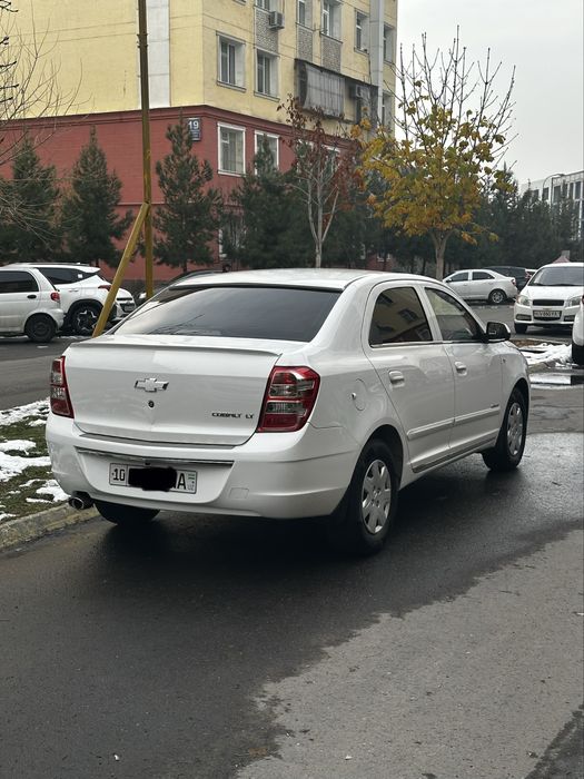 2020-21 Кобалт механика, краска тозза