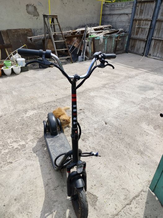 Электросамокат Tribe Drakkar