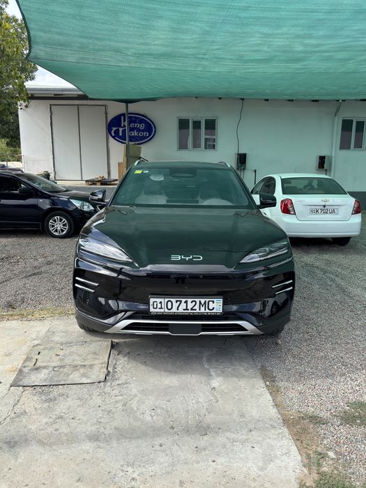 Byd Champion smart