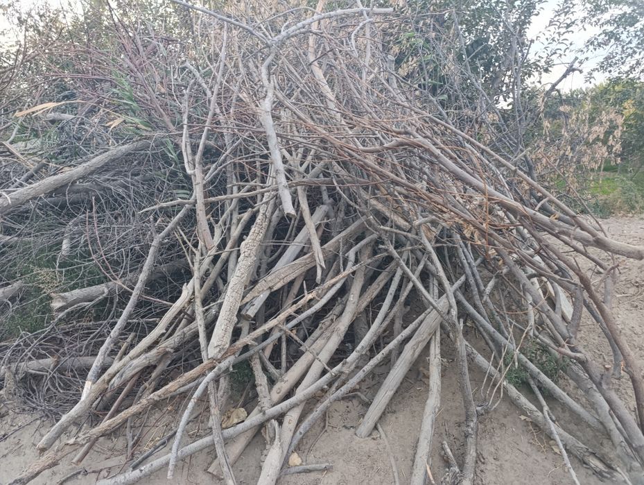 Курук Утин  сотилади.