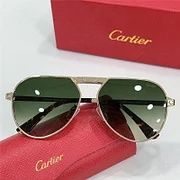 Мъжки слънчеви очила Картие