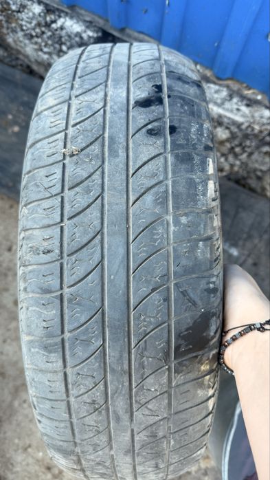 Продам баллоны что на фото
