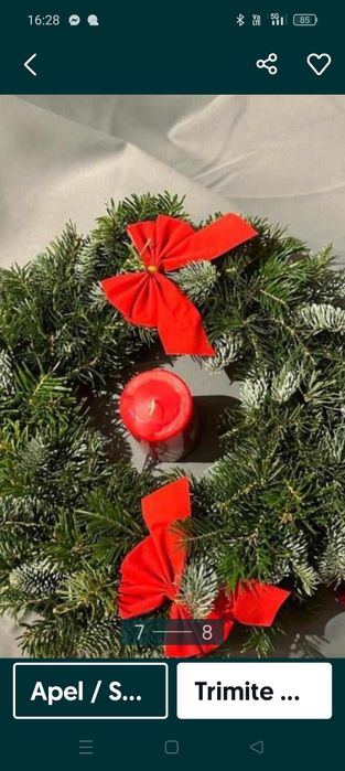 Coronițe de brad și Cetină