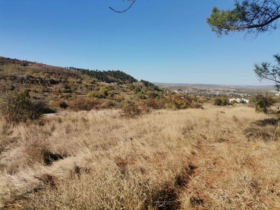 Продава се Парцел в Белослав - 700 кв.м за 22 €/кв.м - Снимка #2