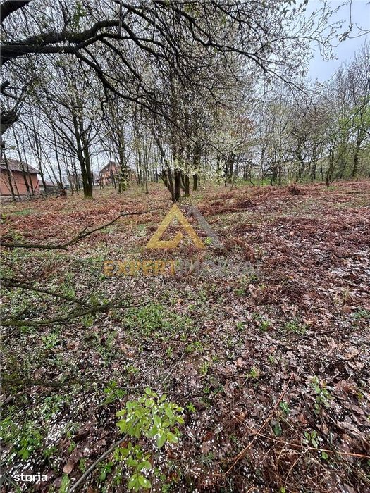 Teren intravilan in spate la Castel Transilvania 1.000mp