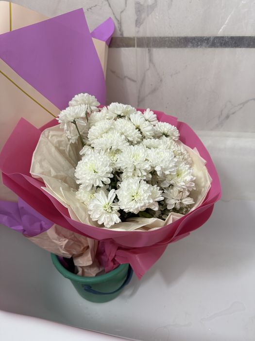 Продам красивые Цветы