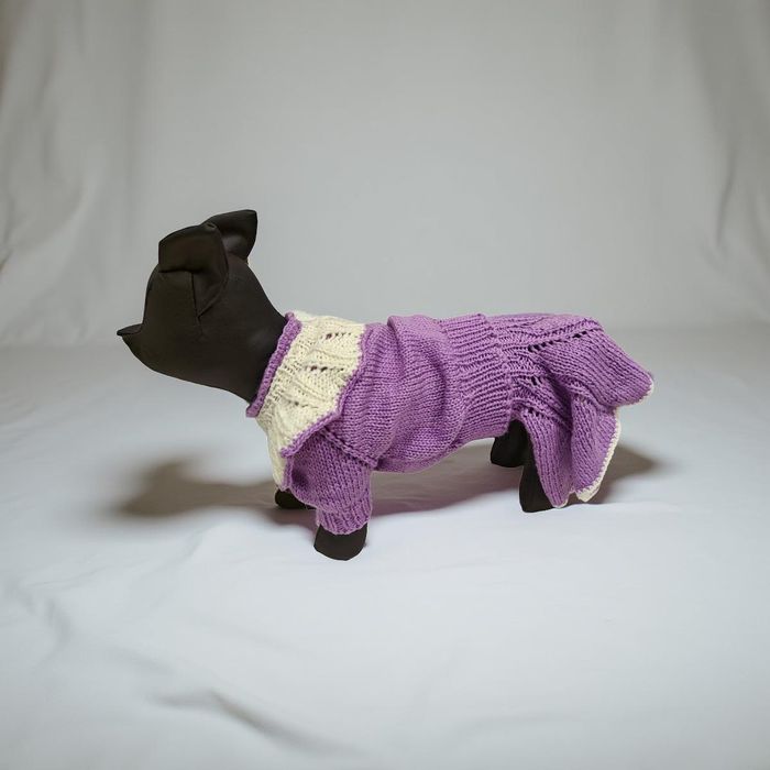 Одежда для собак