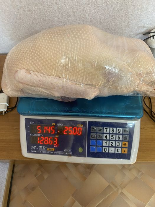 Продам мясо молодых гусей